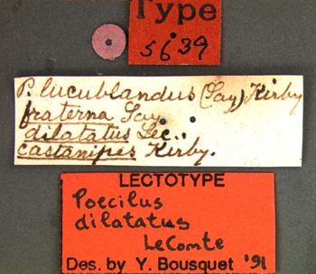 Media type: image;   Entomology 5639 Aspect: labels